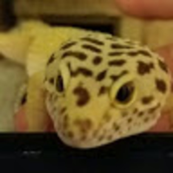 Meet your Posher, Ruth - Picture 1 of 1